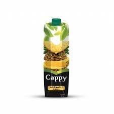 CAPPY ANASLI MEYVE SUYU 1 L