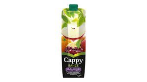 CAPPY KARIŞIK MEYVE NEKTARI 1 L